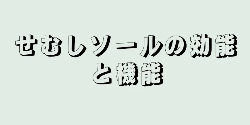 せむしソールの効能と機能