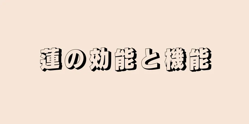 蓮の効能と機能