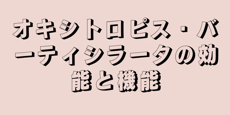 オキシトロピス・バーティシラータの効能と機能