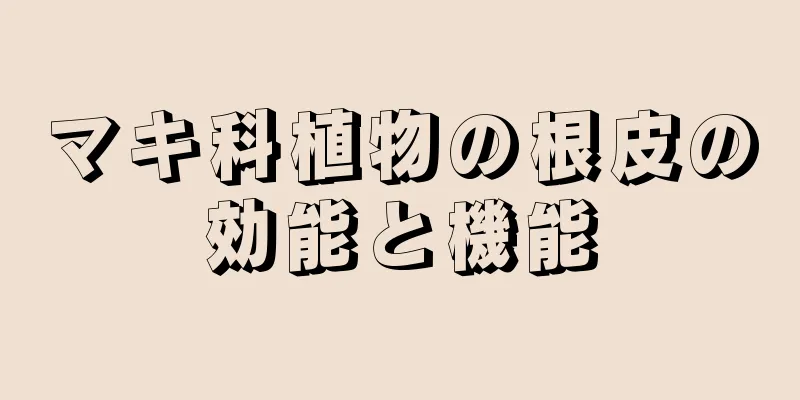 マキ科植物の根皮の効能と機能