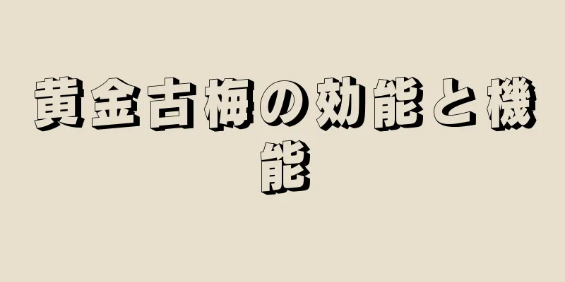 黄金古梅の効能と機能