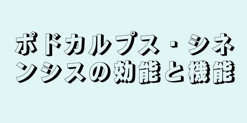 ポドカルプス・シネンシスの効能と機能