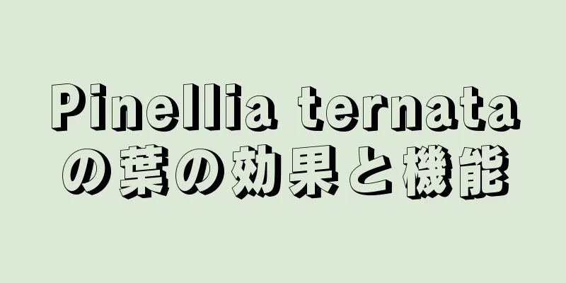 Pinellia ternataの葉の効果と機能