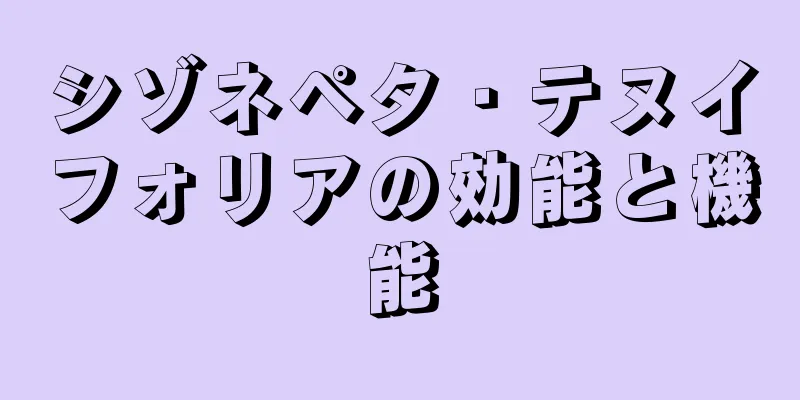 シゾネペタ・テヌイフォリアの効能と機能