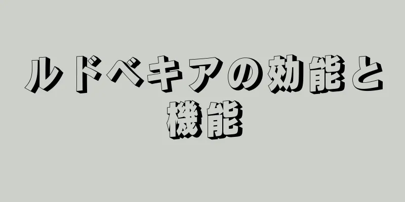 ルドベキアの効能と機能