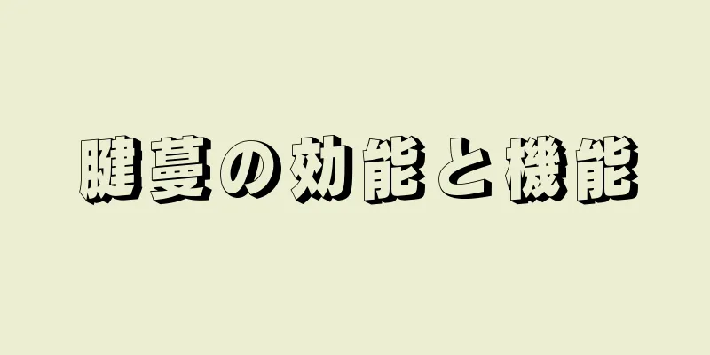 腱蔓の効能と機能