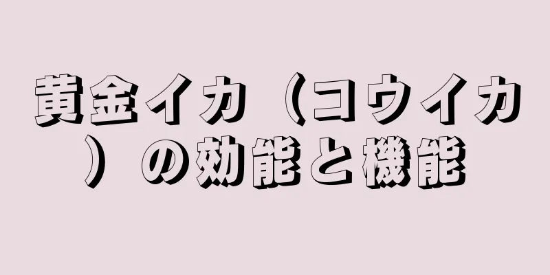 黄金イカ（コウイカ）の効能と機能