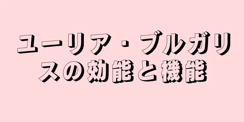 ユーリア・ブルガリスの効能と機能