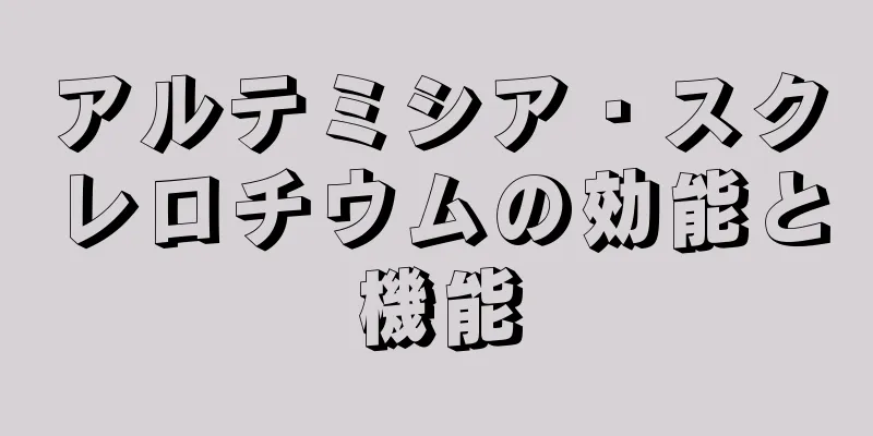 アルテミシア・スクレロチウムの効能と機能
