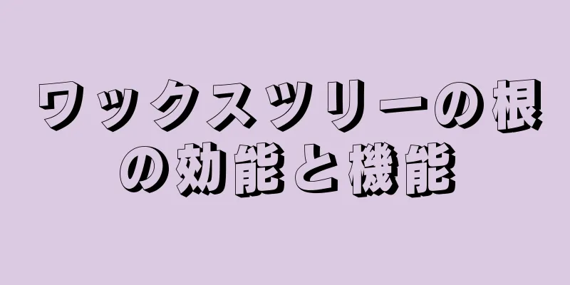 ワックスツリーの根の効能と機能