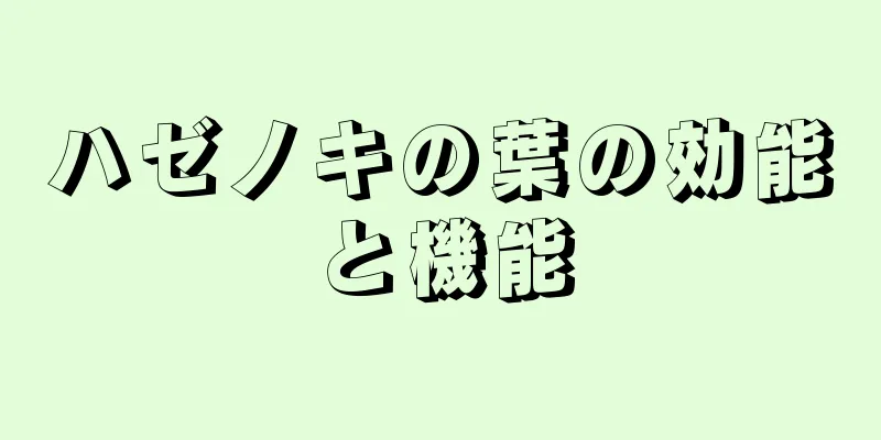 ハゼノキの葉の効能と機能