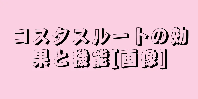 コスタスルートの効果と機能[画像]