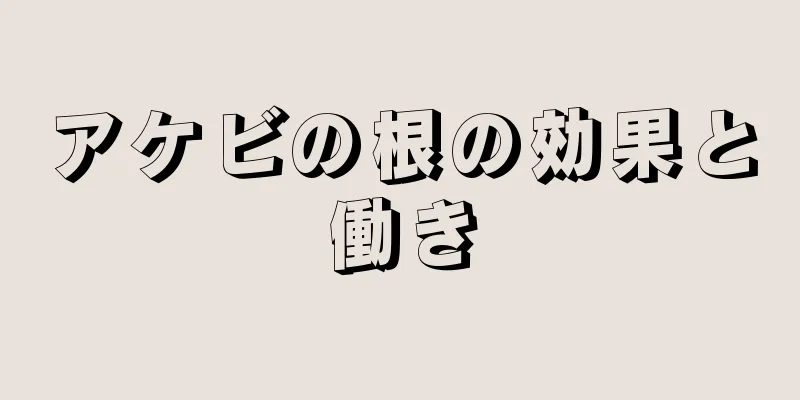 アケビの根の効果と働き
