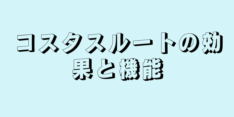 コスタスルートの効果と機能