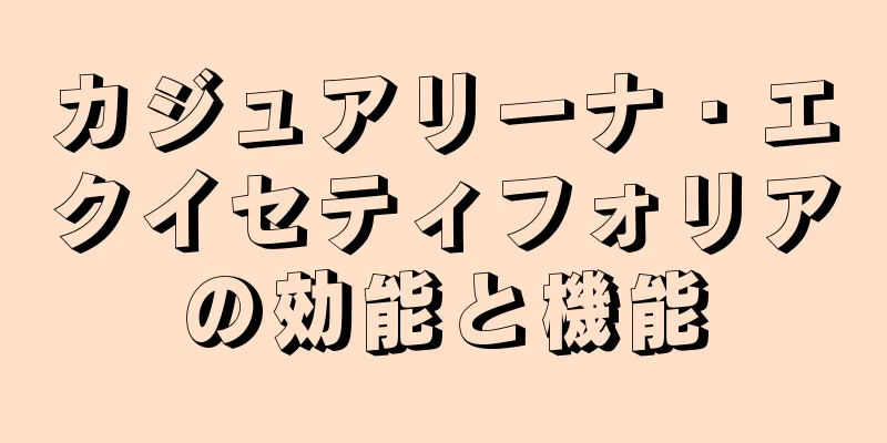 カジュアリーナ・エクイセティフォリアの効能と機能
