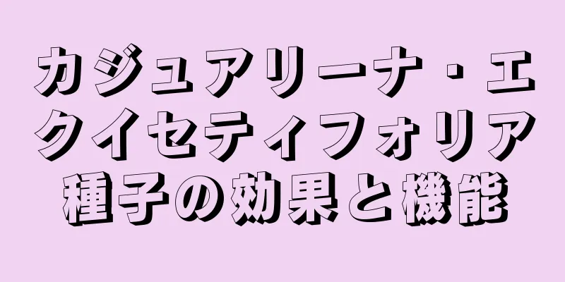 カジュアリーナ・エクイセティフォリア種子の効果と機能
