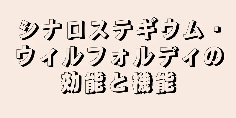 シナロステギウム・ウィルフォルディの効能と機能
