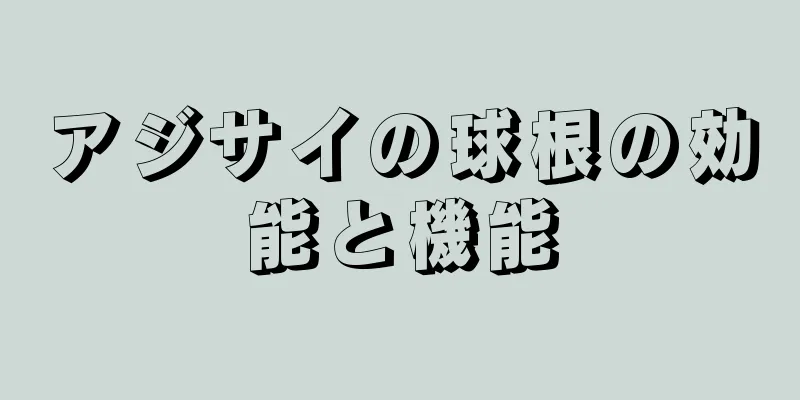 アジサイの球根の効能と機能