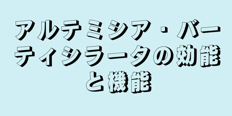 アルテミシア・バーティシラータの効能と機能