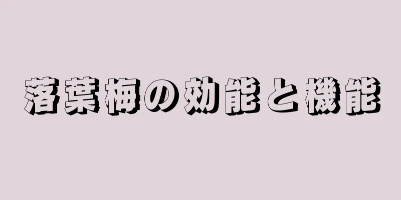 落葉梅の効能と機能