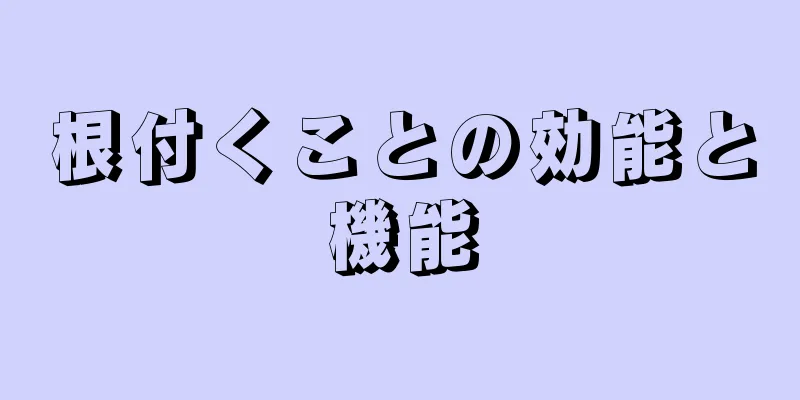 根付くことの効能と機能