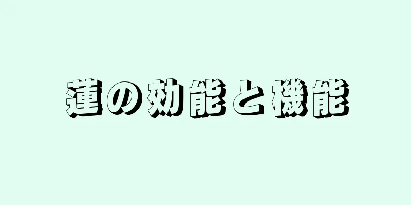 蓮の効能と機能