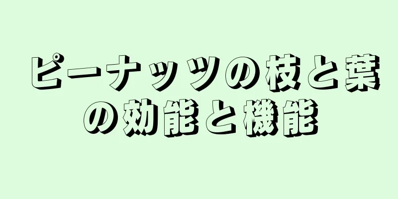 ピーナッツの枝と葉の効能と機能