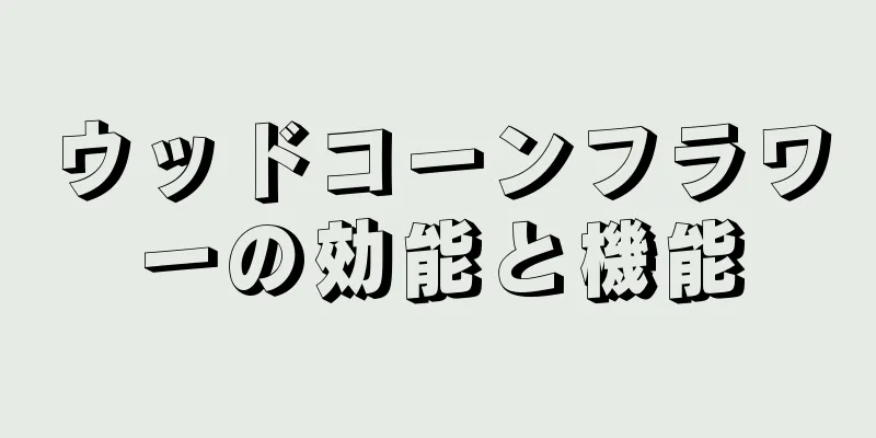 ウッドコーンフラワーの効能と機能