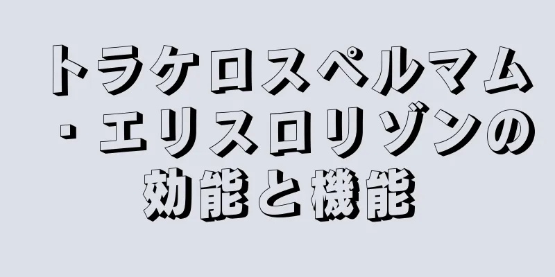 トラケロスペルマム・エリスロリゾンの効能と機能