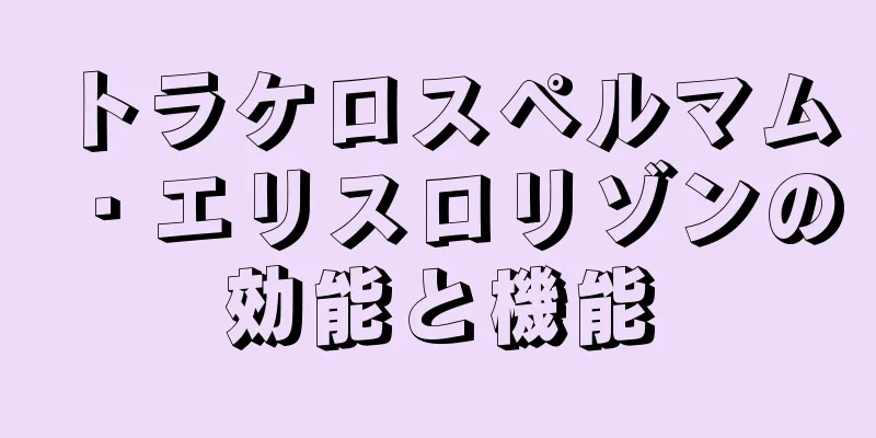 トラケロスペルマム・エリスロリゾンの効能と機能