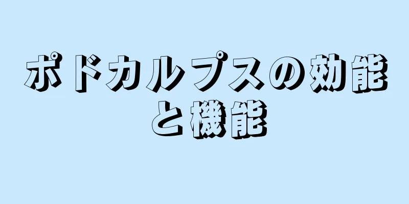 ポドカルプスの効能と機能