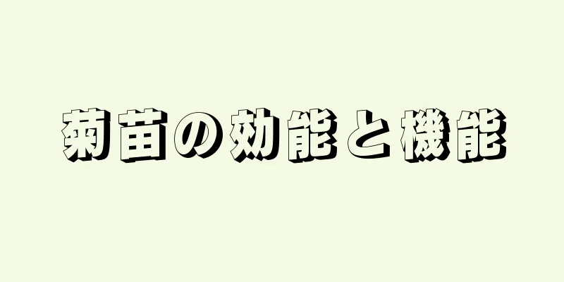 菊苗の効能と機能