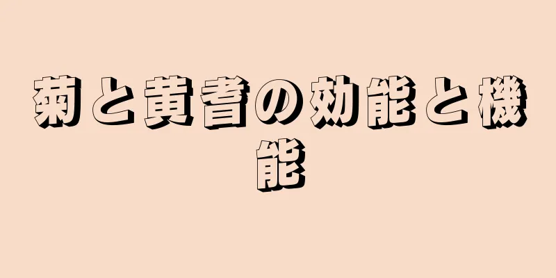 菊と黄耆の効能と機能