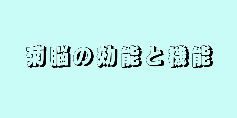 菊脳の効能と機能