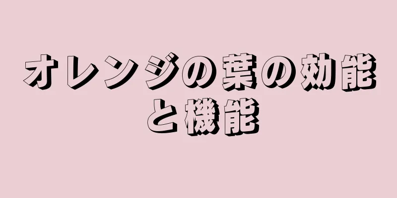 オレンジの葉の効能と機能