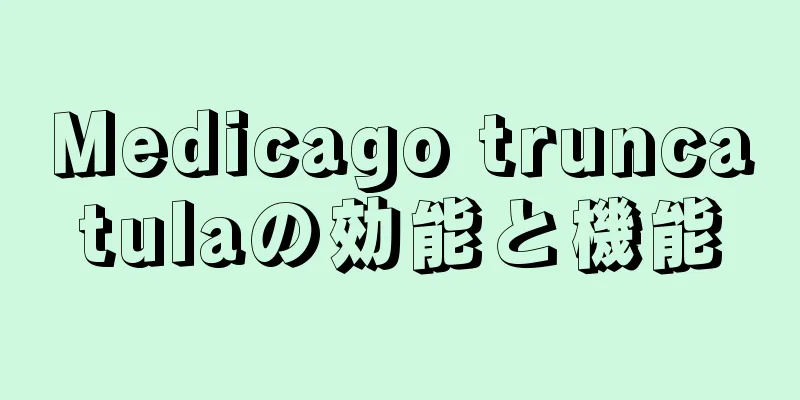 Medicago truncatulaの効能と機能