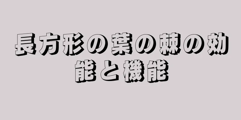 長方形の葉の棘の効能と機能