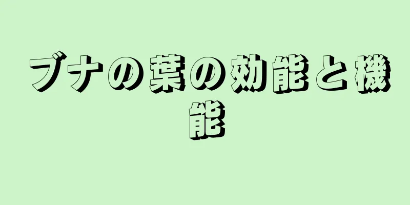 ブナの葉の効能と機能