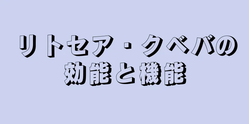 リトセア・クベバの効能と機能