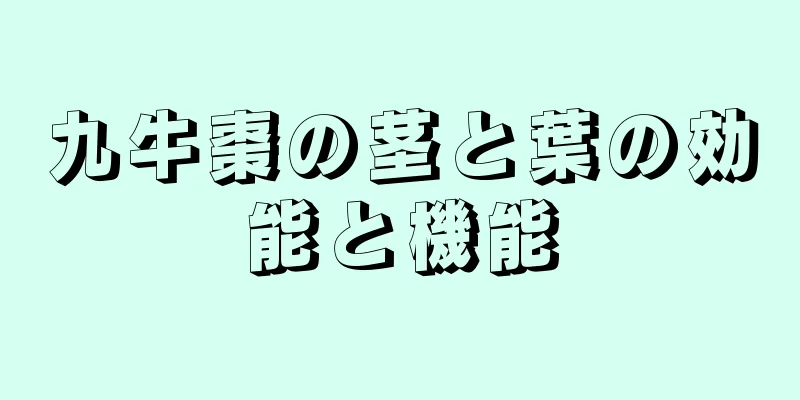 九牛棗の茎と葉の効能と機能