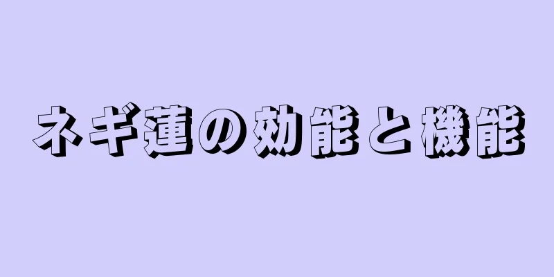 ネギ蓮の効能と機能