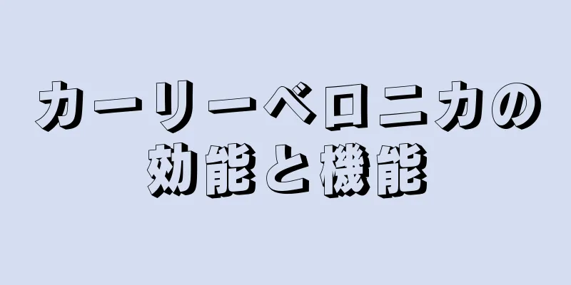 カーリーベロニカの効能と機能