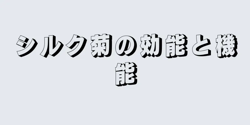 シルク菊の効能と機能