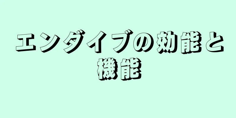 エンダイブの効能と機能