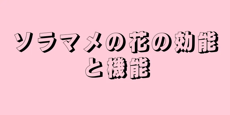 ソラマメの花の効能と機能