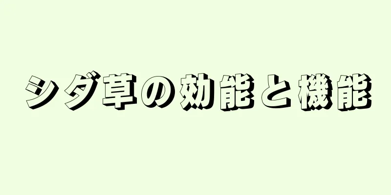 シダ草の効能と機能
