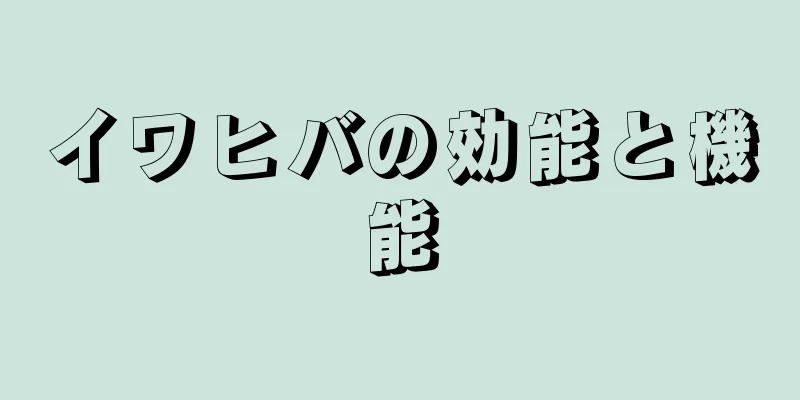 イワヒバの効能と機能