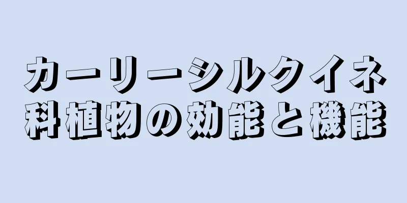 カーリーシルクイネ科植物の効能と機能
