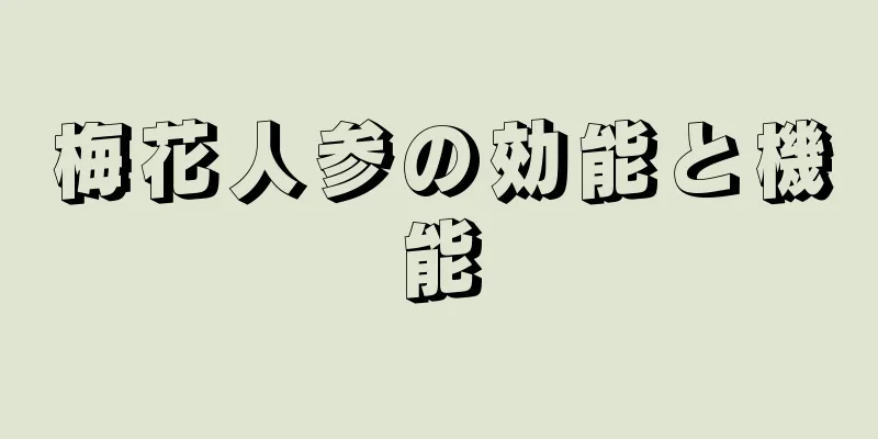 梅花人参の効能と機能