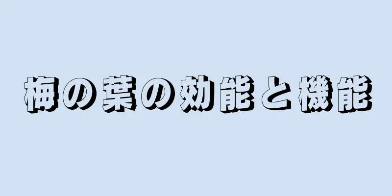 梅の葉の効能と機能